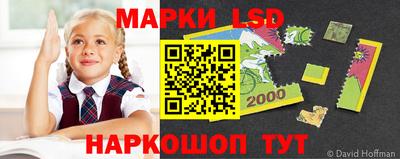 дмт Славгород