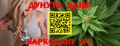 дмт Славгород