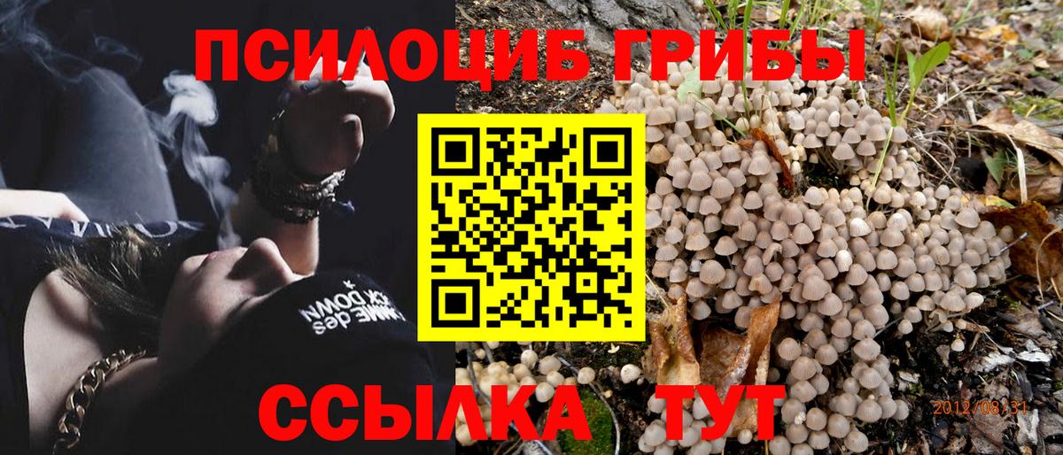 Югорск  даркнет сайт  Вход с VPN  Псилоцибиновые грибы Cubensis 